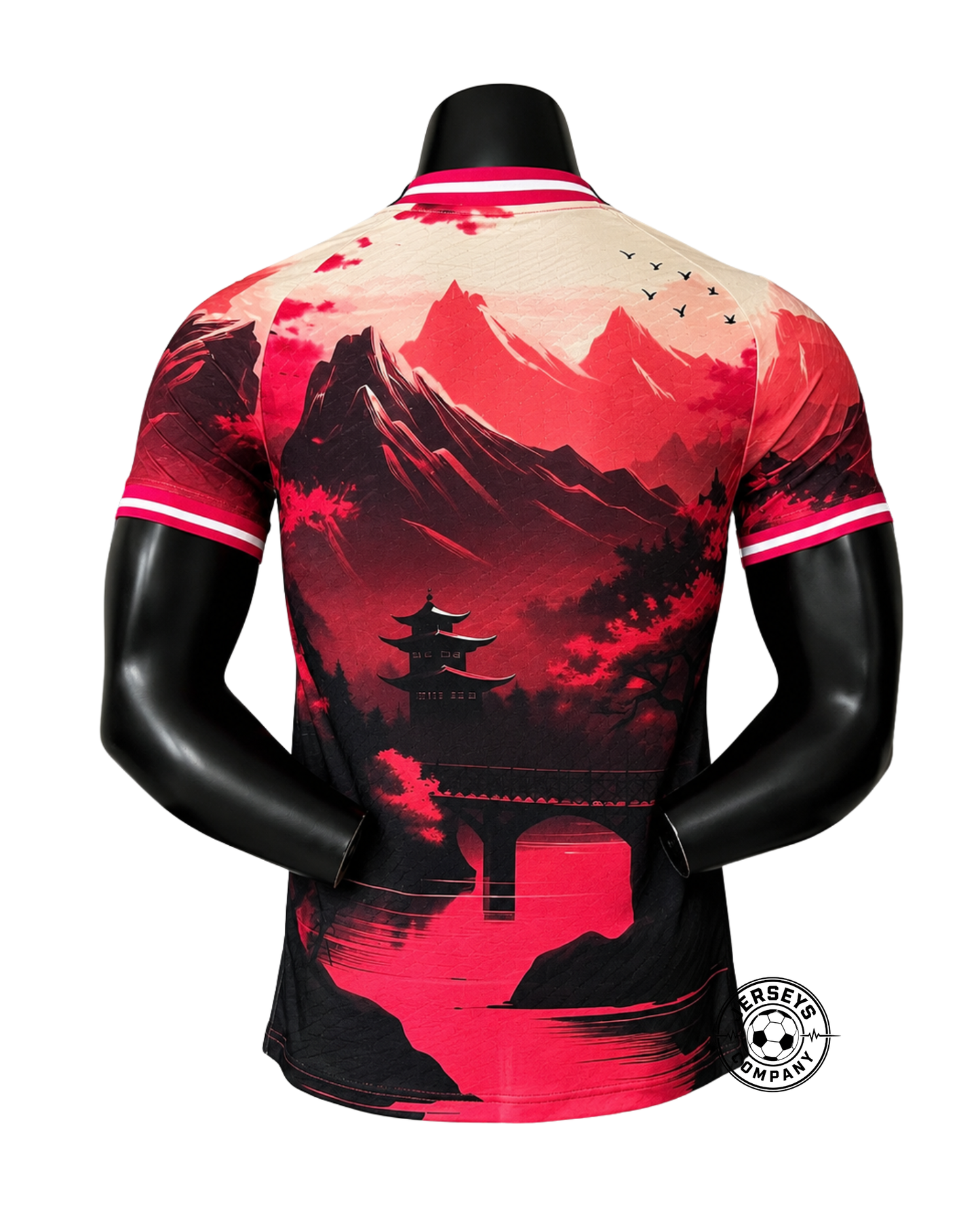Japan 2024 Special Edition Jersey