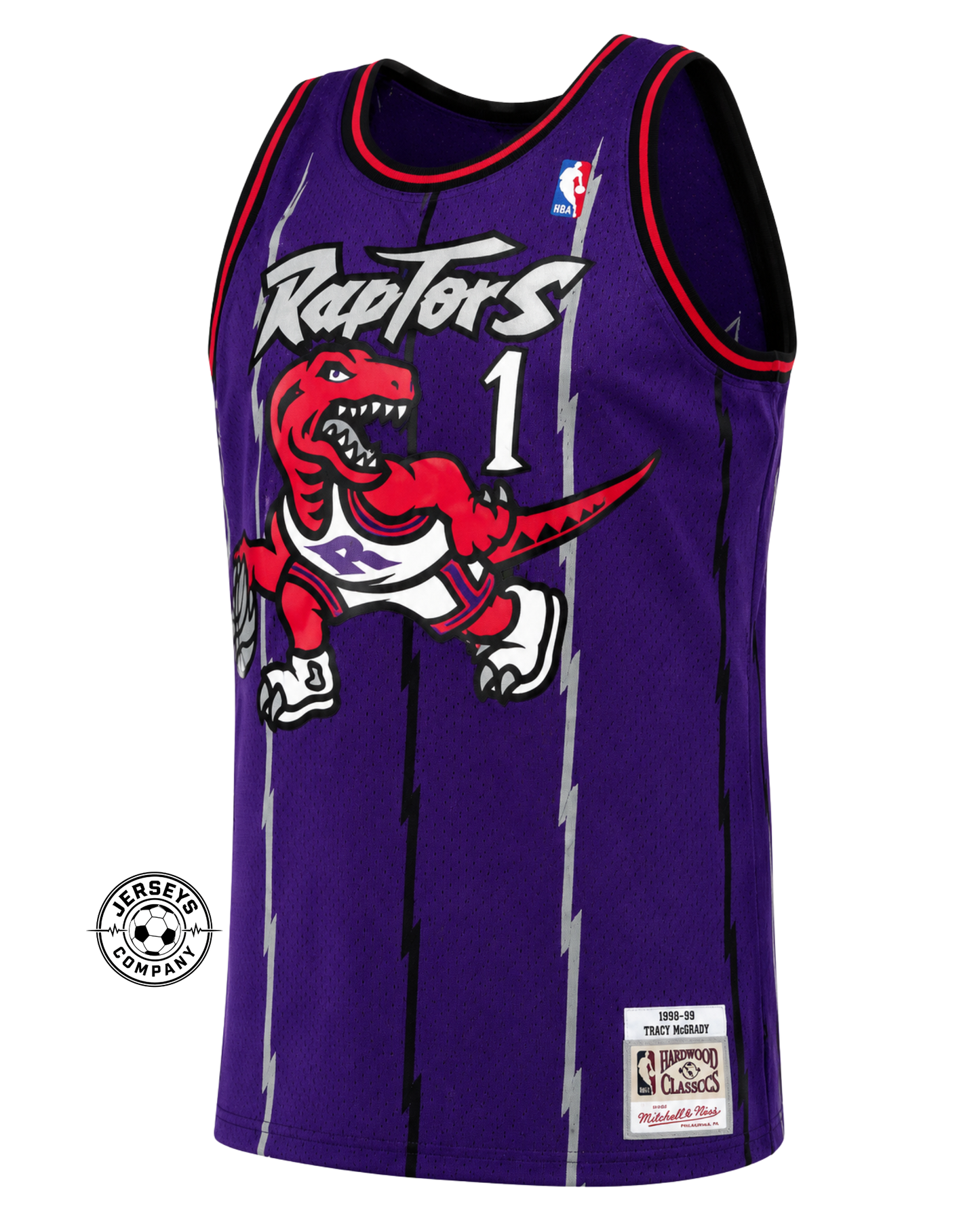 Toronto Raptors Swingman Jersey - Purple