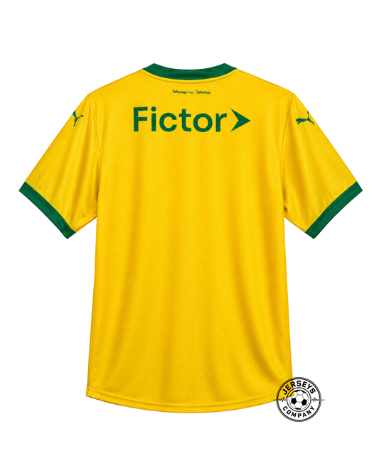 Puma Palmeiras 2025 Third Jersey - Fan Version