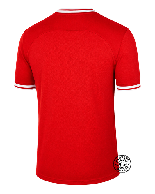 Poland 22/23 Away Jersey - Fan Version