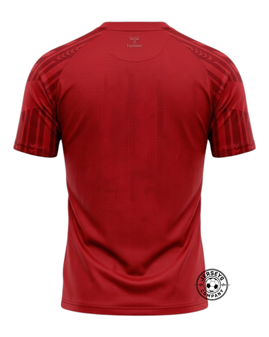 Denmark 22/23 Home Jersey - Fan Version