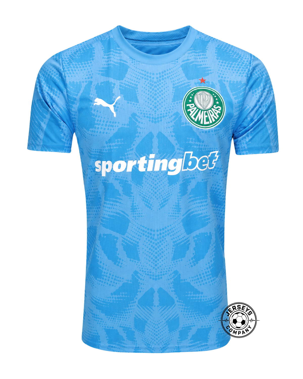 Camisa Goleiro Palmeiras Puma I 2025/2026 azul com grafismos Sponsored